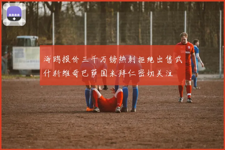 海鸥报价三千万镑热刺拒绝出售武什科维奇巴萨国米拜仁密切关注