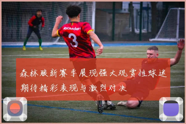 森林狼新赛季展现强大观赏性球迷期待精彩表现与激烈对决