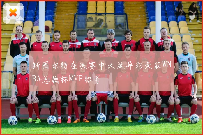 斯图尔特在决赛中大放异彩荣获WNBA总裁杯MVP称号